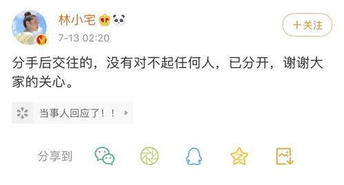 林小宅吃瓜百度网盘,揭秘百度网盘背后的精彩故事