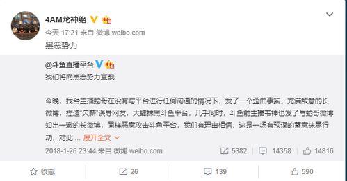 黑料吃瓜不打烊网曝合集,网曝合集深度解析