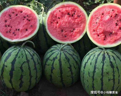 吃瓜网红文案怎么写好一点