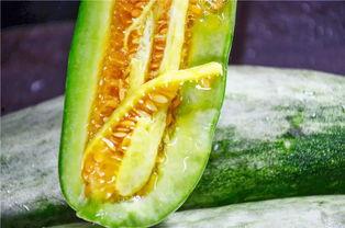 哪个网红有瓜吃