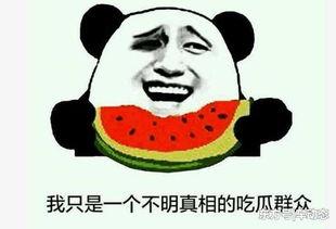 打假网红吃瓜事件真相,真相背后的打假风云