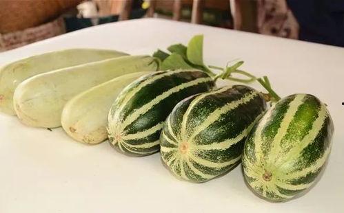 八卦吃瓜微网红