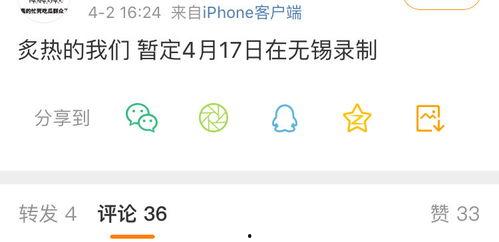 网络吃瓜视频网