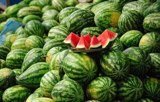 长春网红吃瓜事件真相,真相背后的网络风波