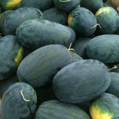 51黑瓜吃料网怎么举报,轻松一键，维护网络环境