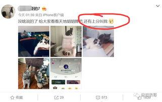 网红出轨吃瓜,吃瓜群众热议，真相究竟如何？