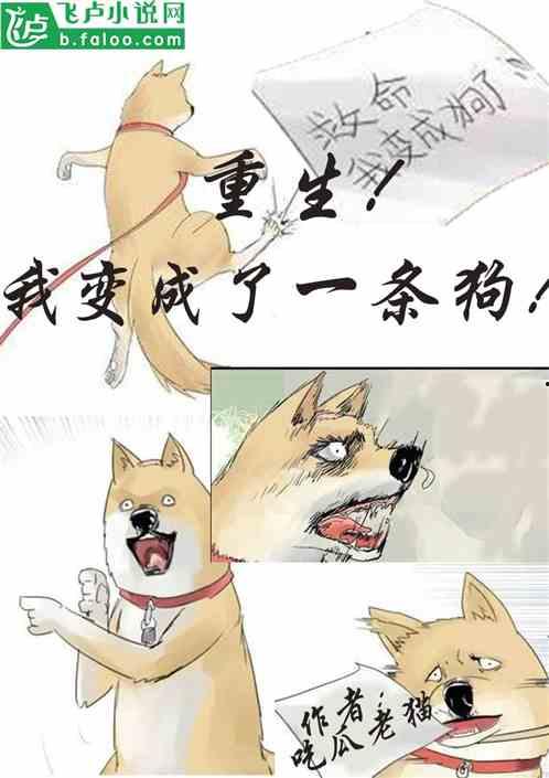 重生之我不是舔狗吃瓜网,我不是舔狗，我是人生赢家！