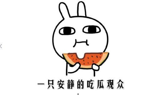 被网暴的吃瓜事件有哪些