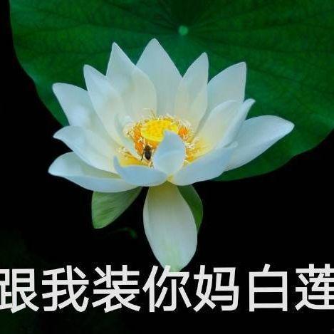 超帅网红吃瓜图片头像