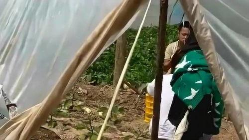 村里近期吃瓜事件网红,揭秘近期吃瓜事件网红背后的故事