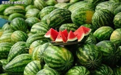 暗料吃瓜网yp,揭秘网络暗流涌动的秘密世界