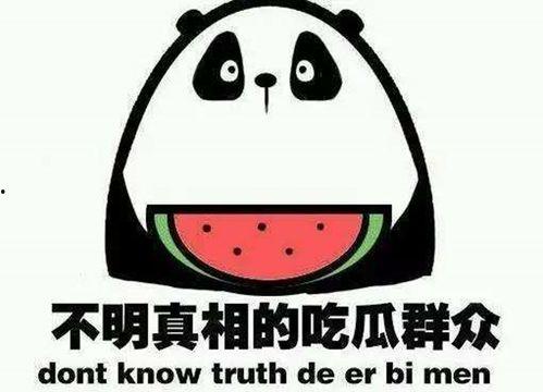 吃瓜家暴网红,家暴网红背后的真相