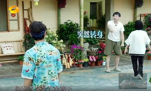 陇西网红吃瓜事件真相,揭秘背后真相与反思